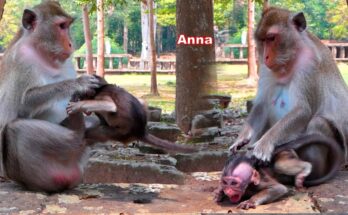 Why Early Parenting Struggles Like Anna's Matter to All of Us